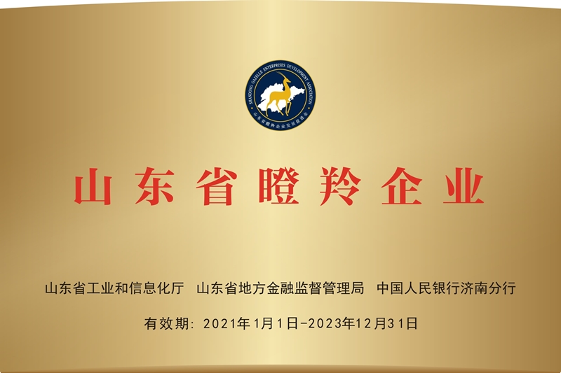 Shandong Province Gazelle Enterprise